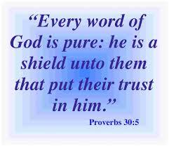 Every word of God is pure