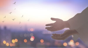 Hands reaching out with a soft background of bright colorful sky, birds flying, lights, and land. 