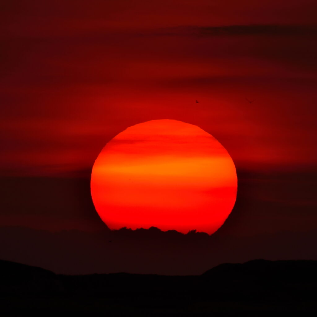 Evening nature picture displaying a red sun on a dark background.